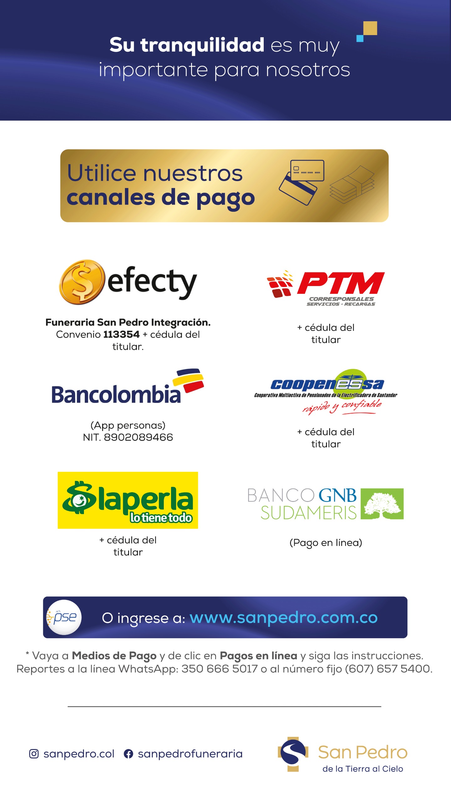 - Medios de pago  - Medios de pago